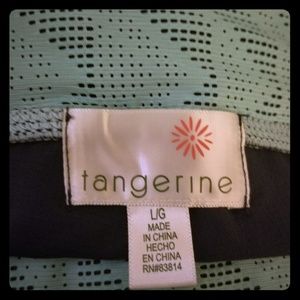 NWT Tangerine  Grey and Mint Capri Leggings -L